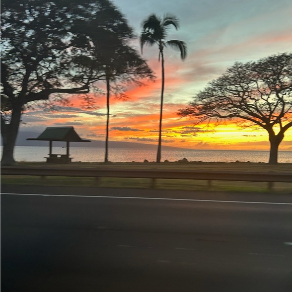 Meet your Posher, Delilah - Picture 3 of 6